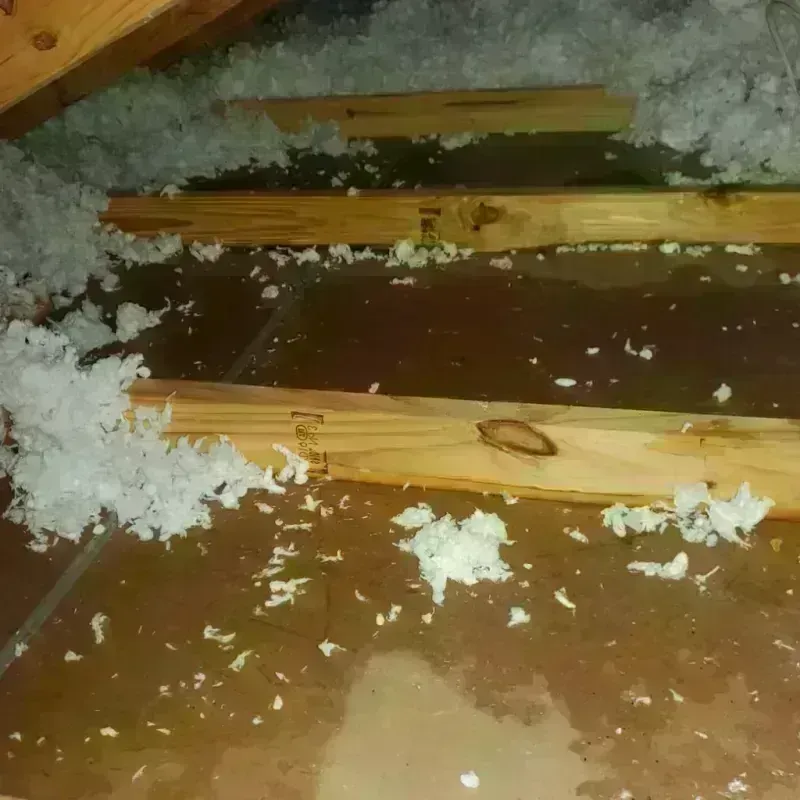 Attic Water Damage in Spring City, PA